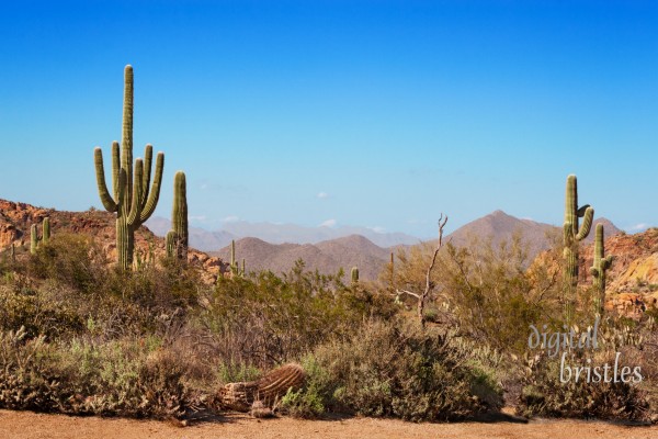 Arizona