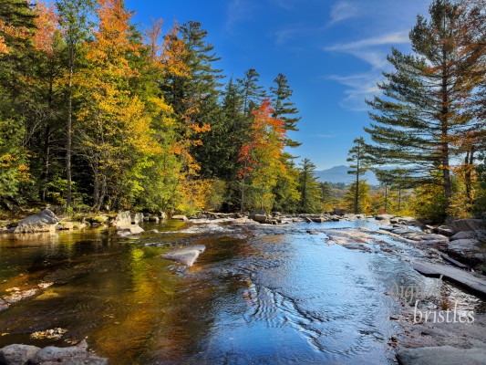 New Hampshire