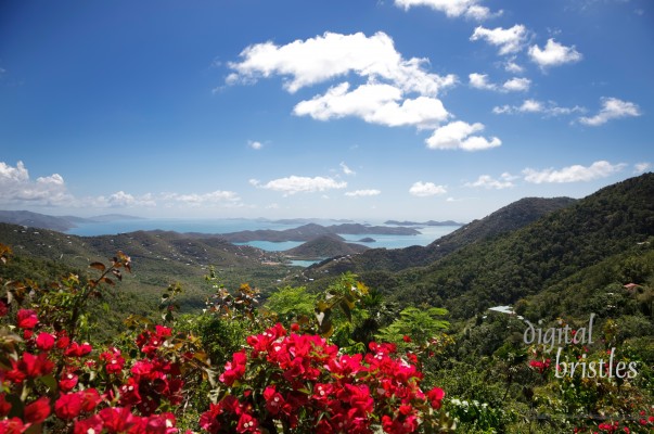Virgin Islands