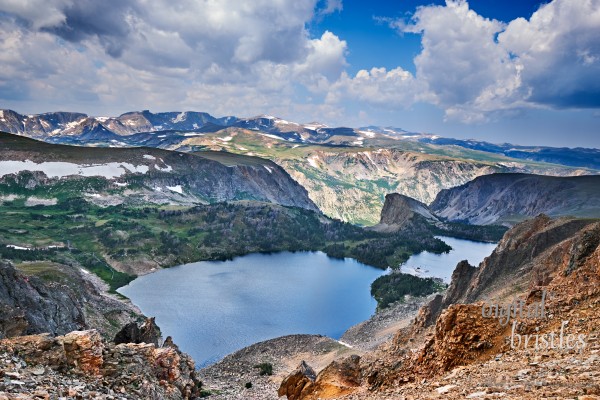 Grand Teton & Yellowstone
