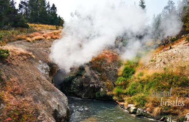 Grand Teton & Yellowstone